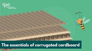 CORRUGATED CARDBOARD 📦 Specifics and Manufacturing