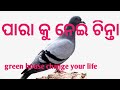 ପାରା କୁ ନେଇ ଚିନ୍ତା ତା ଗୋଡ଼ରେ ଲାଗିଛି machine