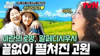 [#텐트밖은유럽로맨틱이탈리아] 🌟라미란 소원 성취🌟 그토록 바라던 야생화 군락지 '알페디시우시'를 직관한 라미란의 반응😮!!!