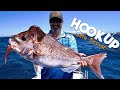 Monster Snapper on the Sunshine Coast using Soft Plastics