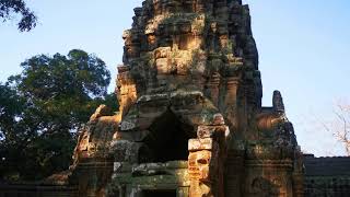 ប្រាសាទតាព្រហ្ម Ta Prohm