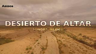 Desierto de Altar, Sonora, México.