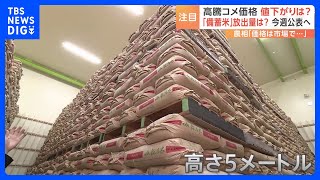 倉庫には高さ5メートルまで積み上げられた2万トンのコメ 政府が備蓄米を放出へ 「バカ高い」コシヒカリが5キロ4000円を突破｜TBS NEWS DIG