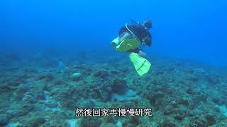 1016之AOW考照岸潛-杉福漁港/小琉球/潛水/FUN DIVE/田老大潛水