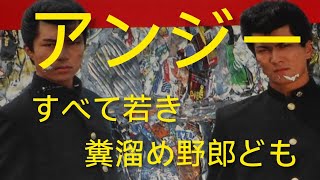 歌ってみた(^_^)　アンジー／すべての若き糞溜野郎ども　うたスキ動画