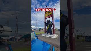 ヒグマに遭遇！？軽自動車ジムニーから降りて撮影してみた！とままえだベアー