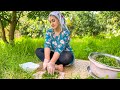 Iran Village Life | Cooking lunch of mountain vegetables