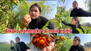 Kina Jethani didiko barima tamatar tipna gaye ma || heath post bata egg diyo || SundarBinitaVlog