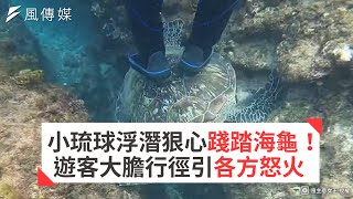 小琉球浮潛狠心踐踏海龜！遊客大膽行徑引各方怒火