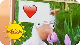 BEZIEHUNGSKILLER Smartphone | SAT.1 Frühstücksfernsehen