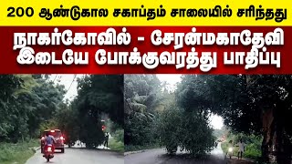 200 ஆண்டுகால புளியமரம் சாலையில் சாய்ந்தது | நாகர்கோவில் - சேரன்மகாதேவி இடையே போக்குவரத்து பாதிப்பு |