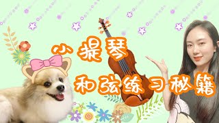 【Violin Lesson】详细讲解《顿特练习曲》第九首，和弦练习秘籍！有完整示范哦~