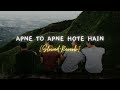 APNE TO APNE HOTE HAIN💕 || Slowed + Reverb || Lofi Song || Heart touching Song