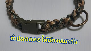 ปลอกคอน้องหมาจากเชือกพาราคอร์ดทำง่ายๆ Paracord for pets