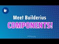 Meet Builderius Components!