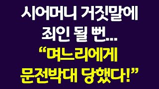 며느리가 날 문전박대 했다! 시어머니의 거짓말과 남편의 막말, 이 결혼 끝내야 할까요?