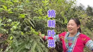 阿恋又买来两颗百香果苗，阿亮直呼果树种太多了，进山又收获野菜