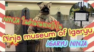 พาชมพิพิธภัณฑ์Igaryu Ninja นินจาในตำนานของญี่ปุ่น |เที่ยวกับสะใภ้ปลาดิบ| #MaeYingJapan