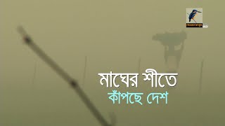 মাঘের শীতে কাঁপছে দেশ I Maasranga News