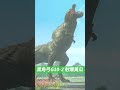 魔物獵人now 挑戰射爆8星恐暴龍 monster hunter now monsterhunternow モンハンnow shorts