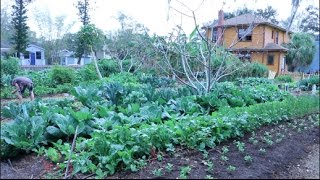 Grow Huge Organic Produce in Florida