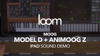 Loom: Minimoog Model D and Animoog Z on iPad