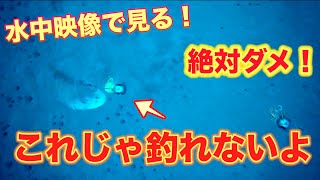 【水中映像で見る】絡まったタイラバに魚は食いつくの？タイラバの落とし穴解説します！！