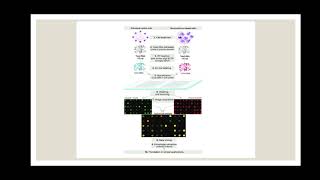 DNA MICROARRAY samuel wesley joseph 19ls301028