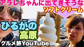 【グルメ旅YouTube ひるがの高原編】アラレちゃんに出てきそうなソフトクリーム