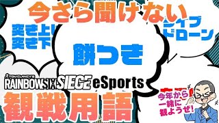 【観戦初心者向け】今さら聞けないシージ観戦用語 Part2：餅つき、ライブドローンなど（レインボーシックスシージ）