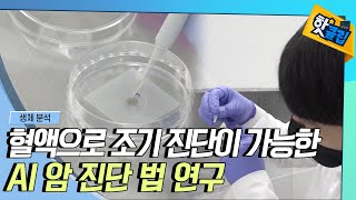 [핫클립] 혈액으로 췌장암을 조기에 진단할 수 있다? / YTN 사이언스