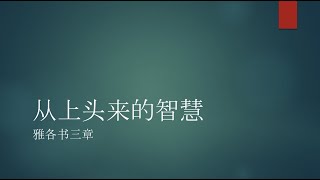 叶宜健传道：从上头来的智慧 雅各书三章