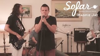 Magpie Jay - Poltergeist | Sofar Costa Rica