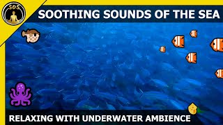 Relaxation with soothing Sounds of the Sea 🐠 Underwater Ambience🐬
