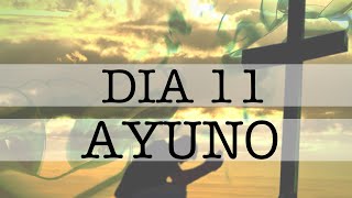 Día 11vo: Vive Cristo en ti?