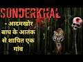 The Horrifying Tale of Sunderkhal Village And a Man Eating Tiger। एक आदमखोर बाघ का कहर। Facts Phylum