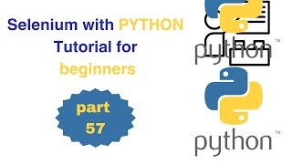 057 Chrome options selenium python | Web Automation Selenium Python