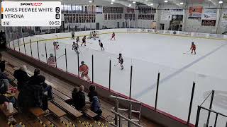 Ames Peewee White vs Verona - 04/01/2025