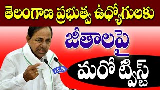 ప్రభుత్వ ఉద్యోగులకు జీతాల పై మరో ట్విస్ట్ Telangana government employee salaries latest update.