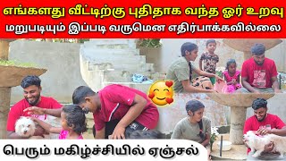 மறுபடியும் இப்படி வருமென எதிர்பாக்கவில்லை 🤔 | Vlog | Jaffna vlog | Anu Vlog