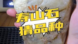 寿山石品种石