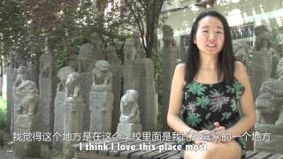 INNER PEACE 寂静处（西安美术学院 世外桃源）【Looking China看中国】