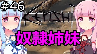 【Kenshi】琴葉茜・葵の奴隷姉妹 #46【VOICEROID実況】