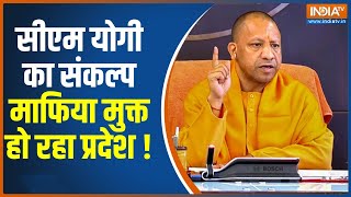 UP Police News: यूपी STF ने गुफरान का किया एनकाउंटर | CM Yogi | UP STF Encounter | Hindi News |