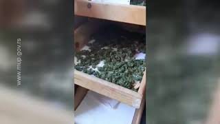 PU Kragujevac droga marihuana pokrivalica