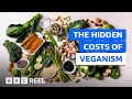 The hidden costs of a vegan diet – BBC REEL