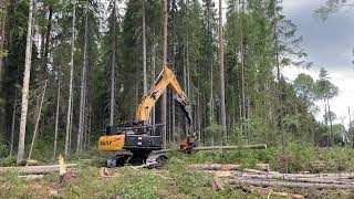 How the XUVOL 600HP harvester works impressive cuts #harvester  Suitable for Sany 245