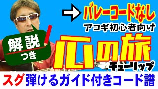 心の旅 弾き方 (ギター 初心者向け コード 簡単) / チューリップ / Fコードなし 【解説付き】