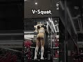 158cm 52kg 브이스쿼트 쇼츠