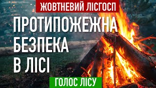 Голос Лiсу | Протипожежна безпека в лісі | Жовтневий Лісгосп | Зелена країна | Ukrainian forest